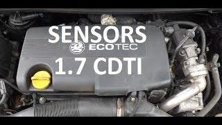 Sensors and Valves on 1.7 cdti Astra Zafira Meriva Corsa z17dtj, z17dtr, a17dtr a17dtj p0030 p0130