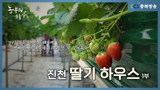 [농부의 하루 24회] 진천 딸기하우스 1부