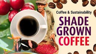 Shade Grown Coffee | Trailer | iwonder.com