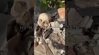Тг «Моя реставрация» #архитектура #топ #реставрация #shorts
