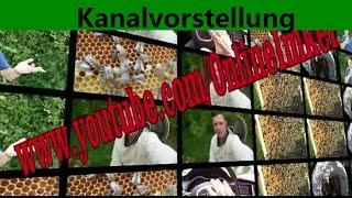 Kanalvorstellung OnlineWaldiLive