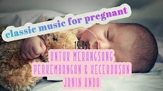15 Menit  Musik Klasik Untuk Merangsang Perkembangan dan Kecerdasan Janin Untuk Ibu Hamil
