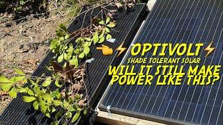 OPTIVOLT Shade Tolerant Solar Panel Test#2