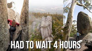 WE DID NOT EXPECT THIS! | Castle Rock Granite Skywalk, Porongurup