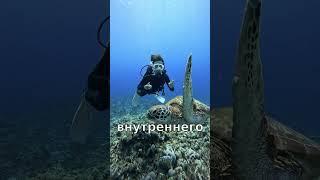  Тайны подсознания — Раскрытие Древней Тайны 