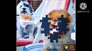 Magic Jigsaw Puzzles - Adorable Pups