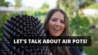  Let's Talk About Air-Pots & Air Pruning Containers // Coast To Coast Home And Garden 