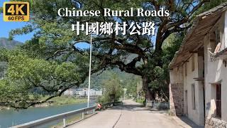 Driving on a remote rural road in southeastern China - Wenzhou, Zhejiang - 4K