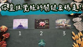 你靈性覺醒的關鍵密碼突破口是?《身心靈塔羅占卜》Pick a card｜Angel808天使療癒花園｜獨門真源塔羅｜Mike Wu吳真源老師