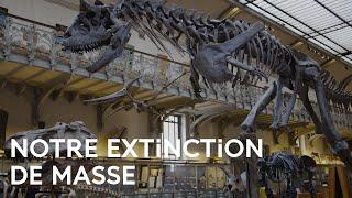 Qu'est-ce-que l'extinction de masse ? - Un Regard sur Terre