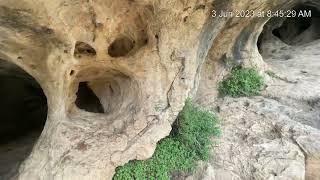 Wadi Halilim Nature Reserve ️Mevaseret Jerusalem ( 3rd June 2023)