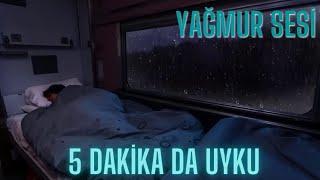 Sleep in 5 Minutes While It's Raining Inside the Train Rain Sound for Sleep