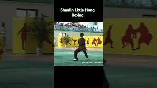 Shaolin Little Hong Boxing. #kungfu #martialarts #shaolinkungfu