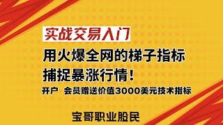 实战交易入门：用火爆全网的梯子指标捕捉暴涨行情！开户 会员赠送价值3000美元技术指标！05252025 #美股 #數字貨幣