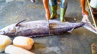 65 KG BLUE MARLIN FISH CUTTING & FILLET LIVE IN FISH MARKET || NICE CUTTING STYLE