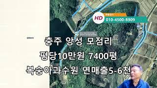 충주 앙성 모점리평당10만원 7400평 복숭아과수원 연매출5 6천1