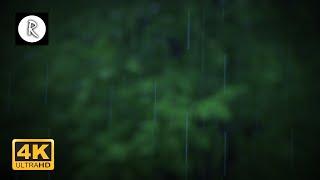 Rain on Roof 4K | 10 HR Relaxation Film + Nature Sounds for Sleep, Insomnia