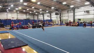 Adam Hein - Level 9 - Floor Exercise - 2018 Region 4 Gymnastics Championships