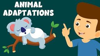 Animal Adaptations - Adaptation and Survival - Animal Adaptations for Kids - Learning Junction