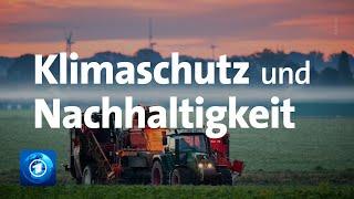 UN-Agenda 2030: Studie zu Klimaschutz und Nachhaltigkeit