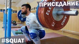 Back SQUAT / A.TOROKHTIY (weightlifting)