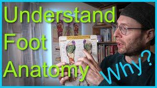 How Does Understanding Your Foot Anatomy Help Your Reflexology