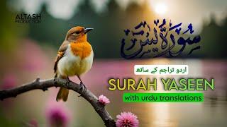 Surah Yasin (Yaseen) With Translation ️ - Episode 4 - Soulful Voice - Altash Production