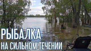 Рыбалка на сильном течении. Фидер 2021. Ловля леща и язя