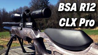 BSA R12 CLX Pro at the Range