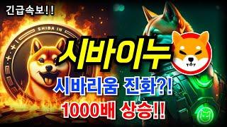 시바이누코인 시바리움 진화?!! 1000배상승!!시바리움이 일냈다!!홀더분들 필수시청!!