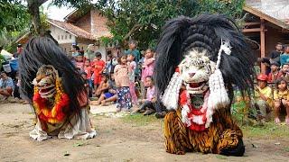 Aksi Barongan Blora dan Reog Ponorogo Seni Barong Singo Kubro Tunjungan