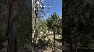 SURAH YASIN TRANSLATION #nature #islamicscripture #quran#quranictranslation #islamicrecitation#short