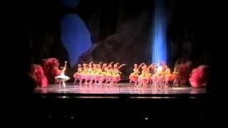 ANDREA KRAMESOVA & ADAM ZVONAR in Sleeping Beauty 2nd act pdd.mp4