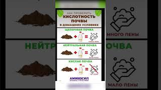 Как измепять кислотность почвы #полезныесоветы #дача #огород #рекомендации