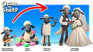 Shaun The Sheep Growing Up Compilation | Go WOW