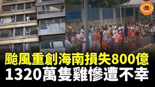 颱風重創海南損失800億，房頂沒了，門窗沒了，1320萬隻雞慘遭不幸