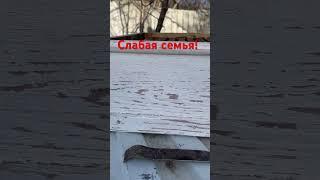 Сократил гнездо на одну улочку!