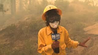 ABC 10's Tracy Humphrey covering the Caldor Fire on Hwy 50 near Echo Summit, August 31, 2021