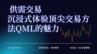 供需交易 沉浸式体验顶尖交易方法QML的魅力