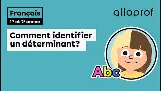 Comment identifier un déterminant? | Français | Alloprof