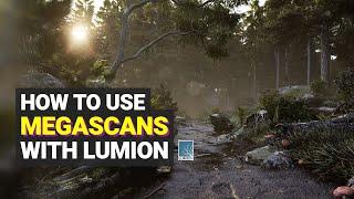 How to use Megascans with Lumion – Quixel Megascans and PBR Materials