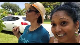 Ann and Eddie from Trinidad  visiting the garden. Cooking pumpkin, pineapple tart, coconut  etc…