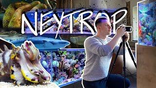 THIS IS NEYTROP - "My animal channel" #reeftanks #freshwater #terrariums