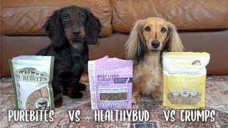 Dachshunds Taste Test Healthy Dog Treats
