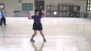 Yang Style Tai Chi Flash Arms,Turn Deflect Parry Punch everydaytaichi by lucy chun