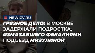 Грязное дело: в Москве задержали подростка, измазавшего фекалиями подъезд Мизулиной