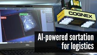 How this logistics integrator improved sorter accuracy with AI-powered In-Sight 2800 Detector - SDI
