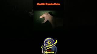 Uncovering May 2024 Thylacine Photos