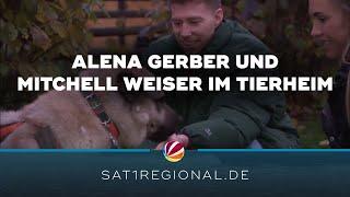 Tierheim Bremen: Alena Gerber und Mitchell Weiser setzen sich für Hunde ein