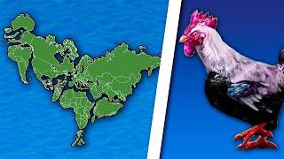 World Map is a Rooster